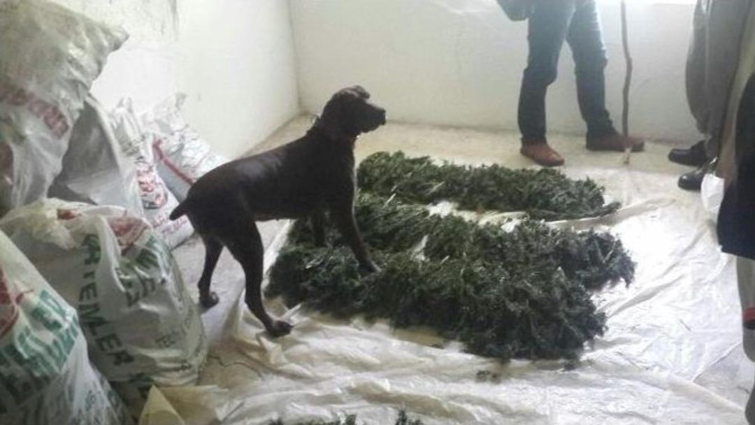 Jandarmadan Uyuşturucu Tacirlerine Darbe