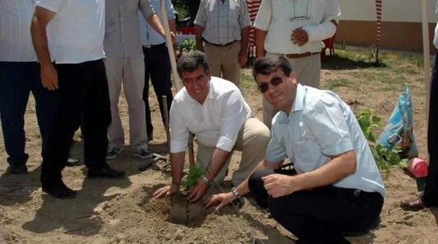 Buharkent&rsquo;te Yeni &Uuml;z&uuml;n &Ccedil;eşitleri Toprakla Buluştu