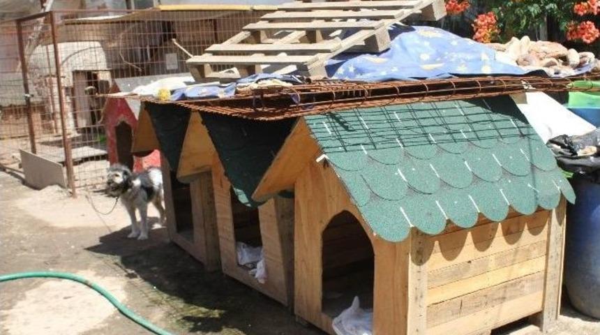 Tredaş&rsquo;tan K&ouml;pek Barınağına Kul&uuml;be Yardımı