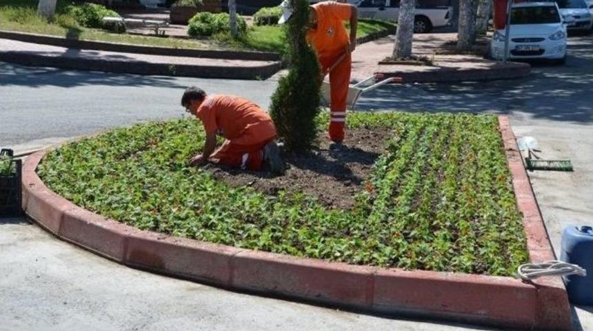 Ref&uuml;jlerde &Ccedil;i&ccedil;eklendirme &Ccedil;alışmaları Yapılıyor