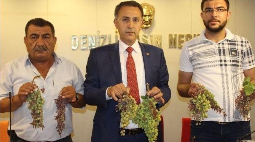 Denizli&rsquo;de Aşırı Sıcaklar &Uuml;z&uuml;mleri Vurdu