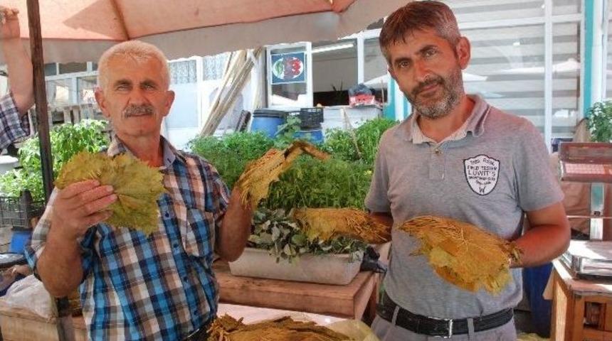 Tokat Salamura Bağ Yaprağı Fiyatlarında Artış