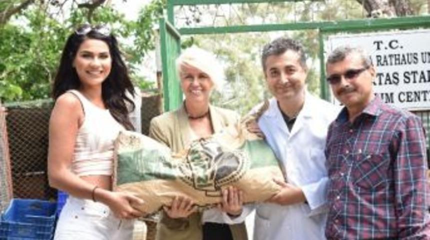 Alanya&rsquo;da Hayvanlar İ&ccedil;in 1 Kap Su 1 Kap Yemek Kampanyası