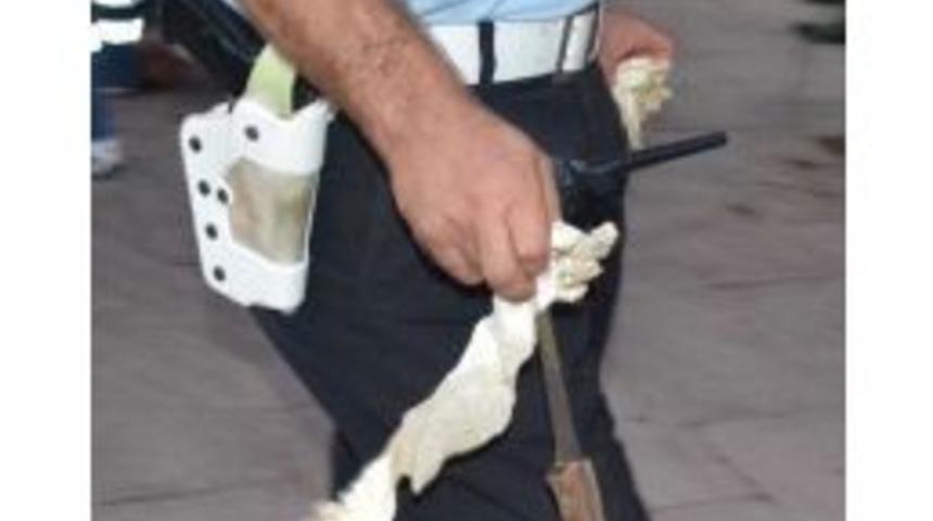 Ev Satışındaki Anlaşmazlık Bı&ccedil;aklı Kavgayla Bitti: 7 Yaralı