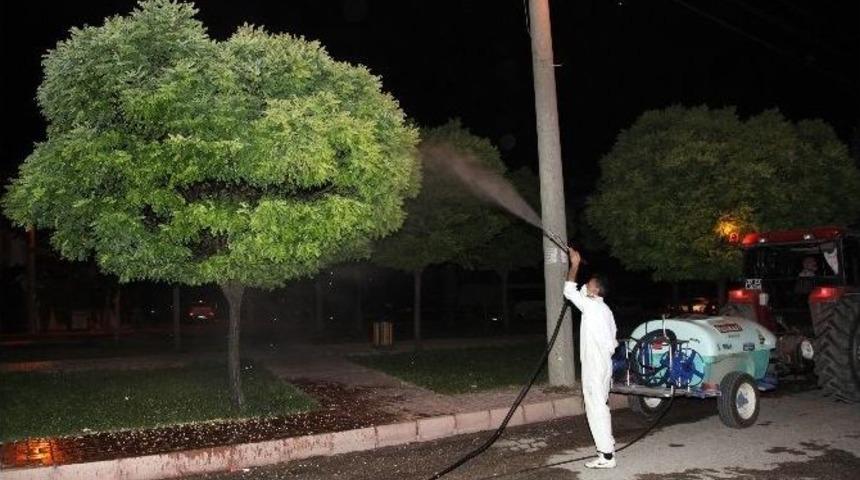 Elazığ&rsquo;da Haşere İle M&uuml;cadele