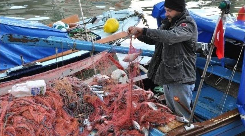 O Yılın En &Ccedil;alışkan Balık&ccedil;ısı