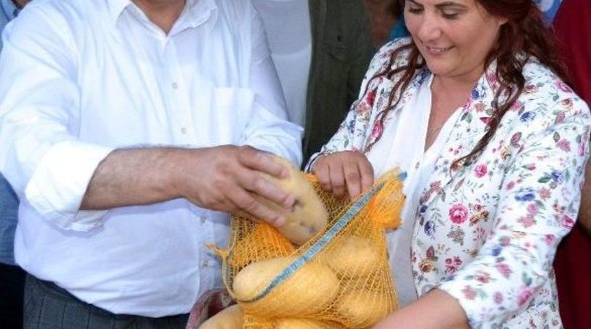 Bozdoğanlı Patates &Uuml;reticisinden Eleştirilere Tepki