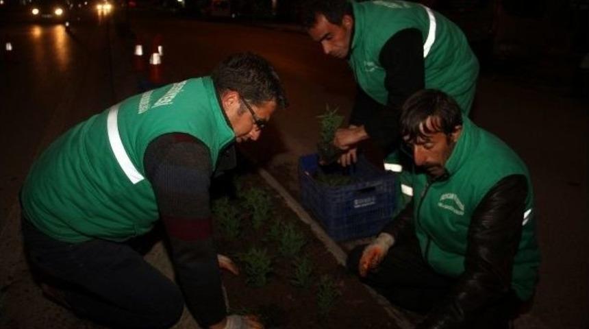 Belediye Ramazan Ayında Gece &Ccedil;alışıyor
