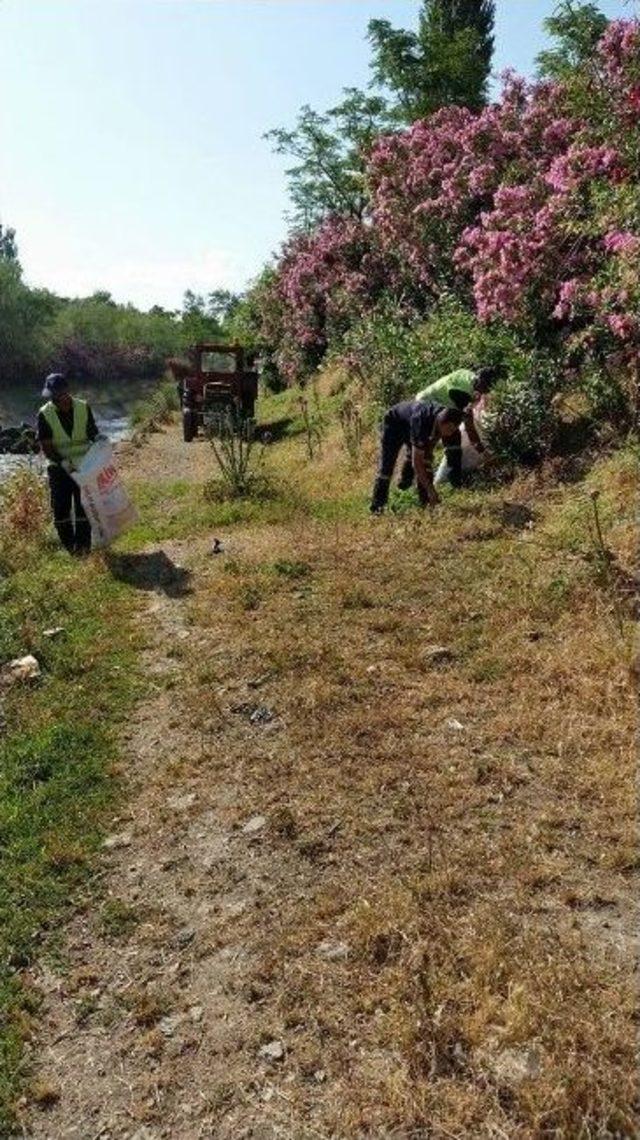 Salihli’de Çakallar Deresi Temizlendi