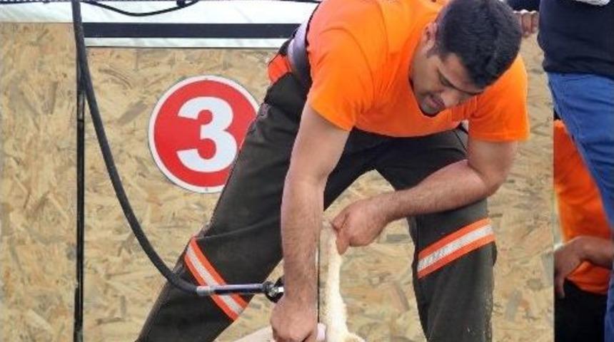 İkinci Kırkımcı Eğitim Kursları Başlıyor