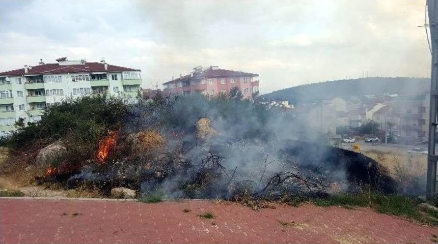 Bilecik&rsquo;te Ot Yangını