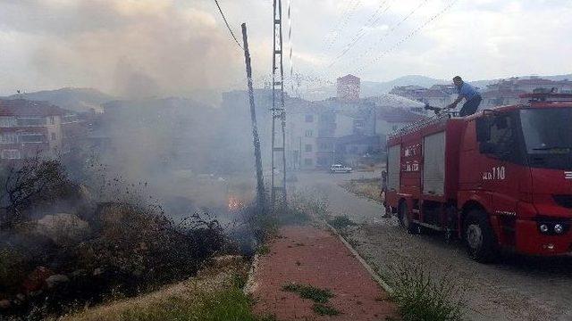 Bilecik’te Ot Yangını