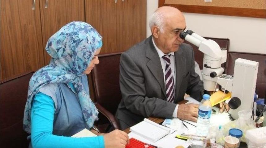 Yurtdışı Doktora &Ouml;ğrencileri &Ccedil;alışmalarını Yapmak &Uuml;zere Be&uuml;&rsquo;y&uuml; Ziyarete Devam Ediyor