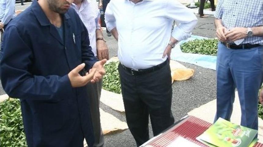 Yaş &Ccedil;ay Alımlarında &rsquo;kuru&rsquo; D&ouml;nem Başlıyor