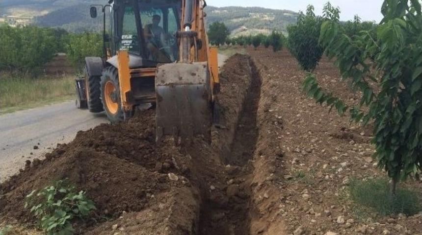 B&uuml;y&uuml;kşehir&rsquo;den Kiraz &Uuml;reticisine Destek