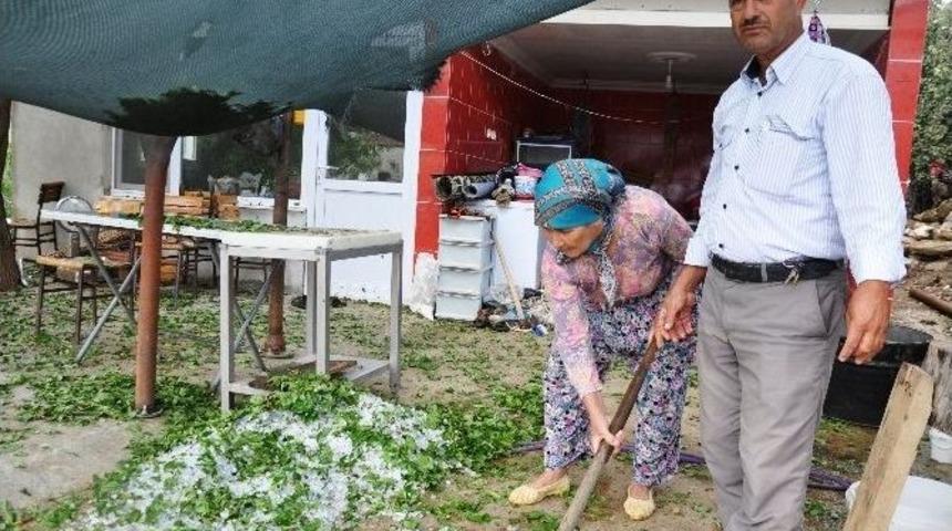 İzmir&rsquo;de Dolu Tarım &Uuml;r&uuml;nlerini Vurdu