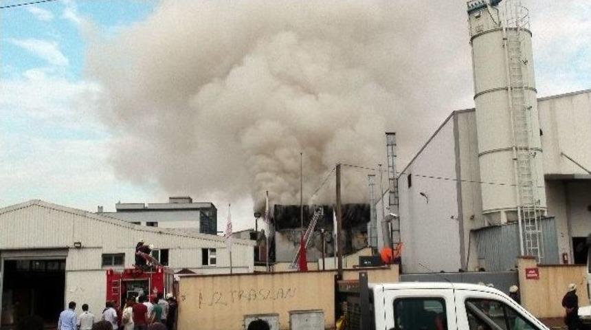 Halı Saha &Ccedil;imi &Uuml;reten Fabrikada Korkutan Yangın