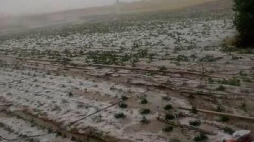 Patates Ve Kabak Tarlalarını Dolu Vurdu