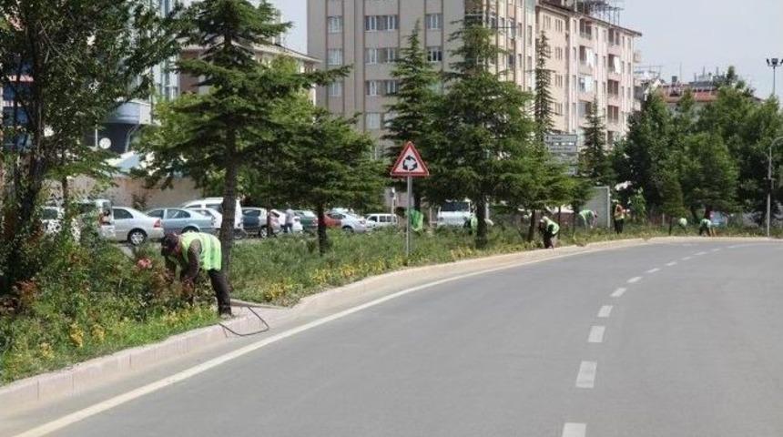 Seydişehir&rsquo;de Park Ve Bah&ccedil;elere D&uuml;zenleme