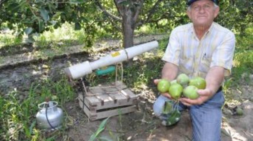 Domuzsavar İş Başında