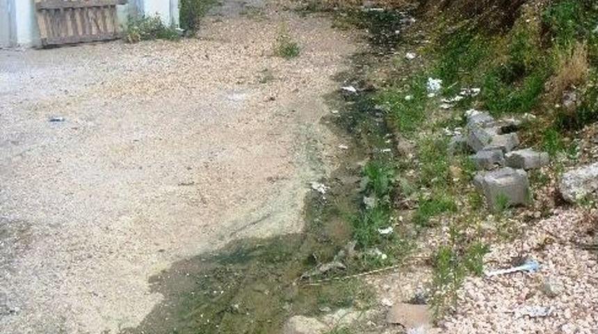 Bilecik&rsquo;te Patlayan Kanalizasyon Borusu Tamir Edilmeyi Bekliyor