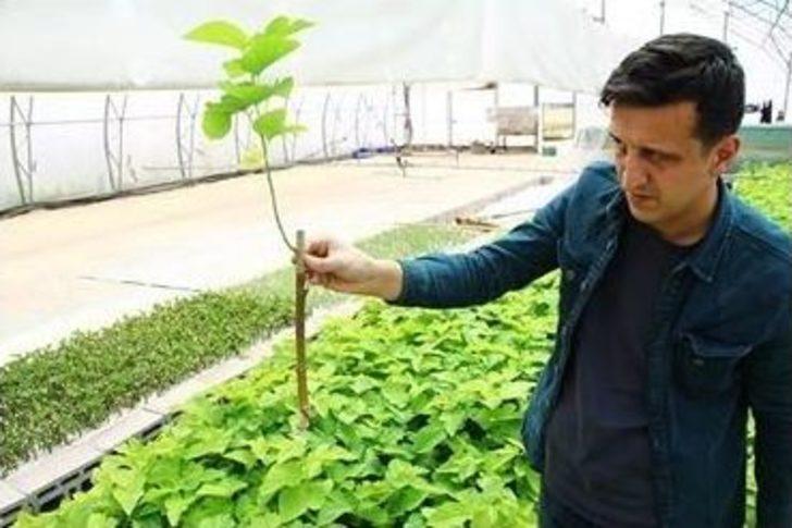 Eskişehir’de İpek Böcekçiliği İçin Büyük Adım G2