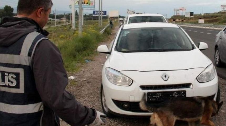 Uyuşturucu Tacirleri Narkotik K&ouml;peği Sedef&rsquo;ten Ka&ccedil;amadı