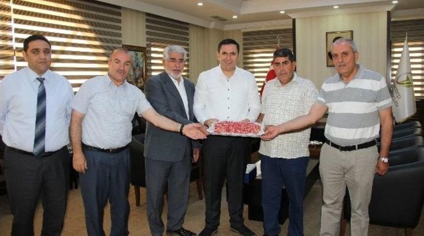 Yılın İlk Antepfıstığına &Ouml;d&uuml;l