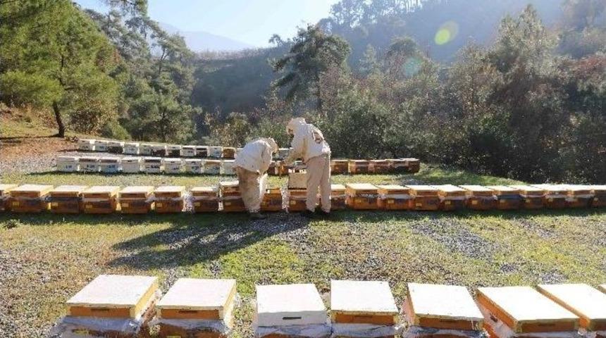 Orman K&ouml;yl&uuml;lerine Bakanlıktan 13 Yılda 22,8 Milyon Tl Kredi Desteği