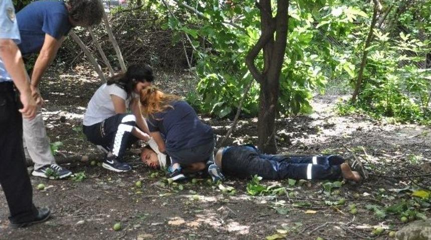 6. Kattan &Ouml;l&uuml;me Atladı, Ağa&ccedil; Dalları Sayesinde Hayata Tutundu