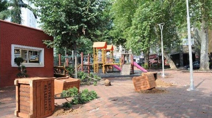 Magandalar Ağa&ccedil;ları S&ouml;kt&uuml;, Saksıları Ters &Ccedil;evirdi