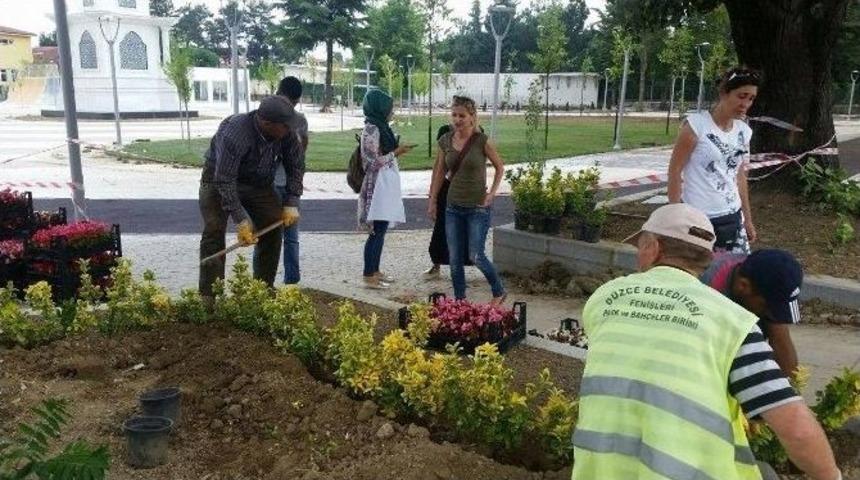 &Ccedil;i&ccedil;ekler Bu Kez D&uuml;zce Lisesi Parkında A&ccedil;acak