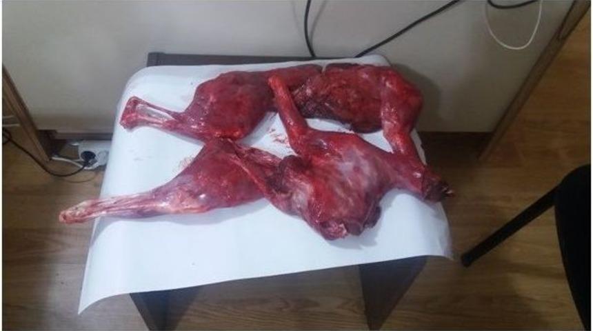 Ka&ccedil;ak Avcılara Su&ccedil;&uuml;st&uuml;