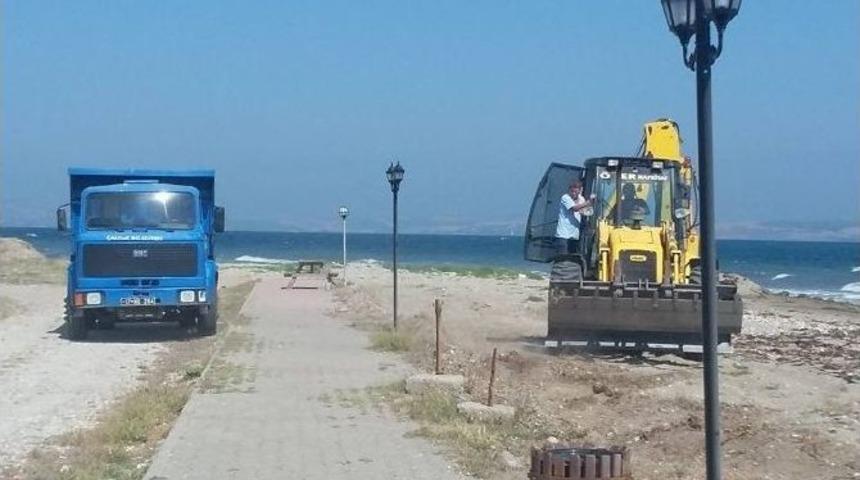 &Ccedil;ardak&rsquo;ta Sahil Temizliği