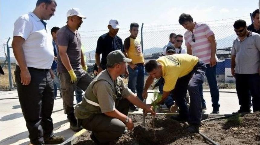 Aliağa&rsquo;da Fidanlar Toprakla Buluştu