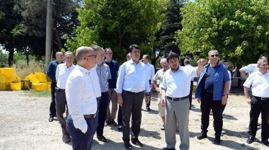 Osmangazi&rsquo;den &Uuml;reticiye Can Verecek Proje