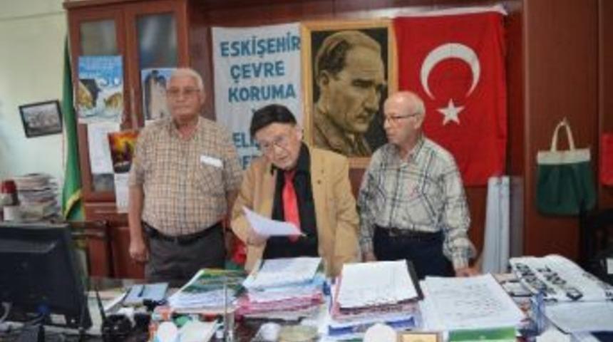 Erozyona Karşı Atriplex Bitkisi