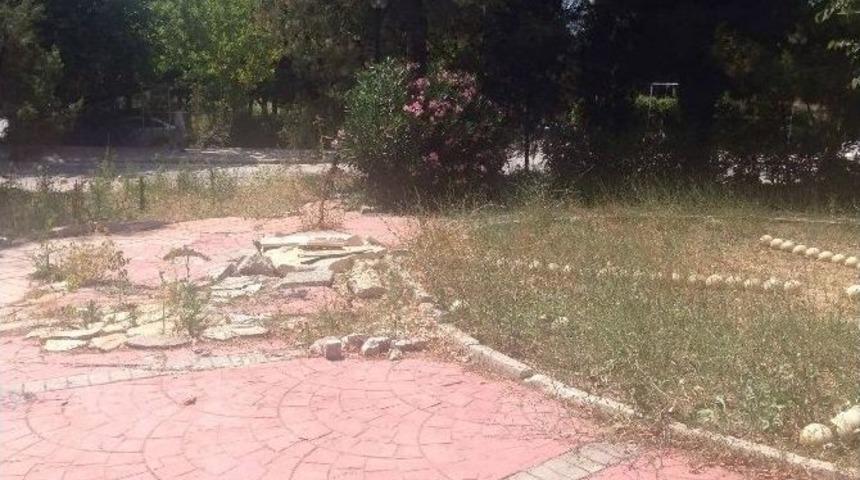 Bursa&rsquo;da Yeşil Alanlar &Ccedil;&ouml;pl&uuml;ğe D&ouml;nd&uuml;