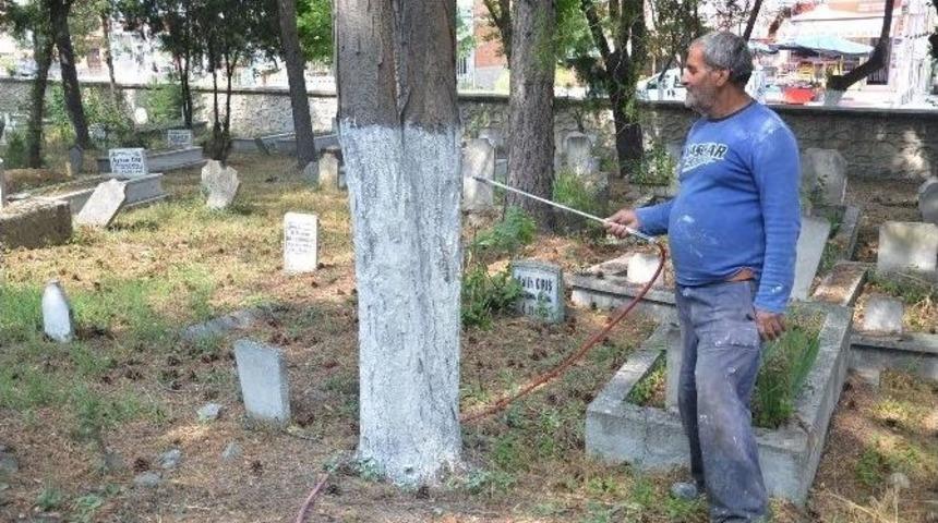 Mezarlık Bayram Ziyaretleri İ&ccedil;in Hazırlanıyor