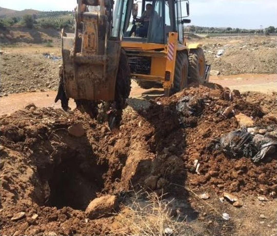 İzmir&rsquo;de Toplu Hayvan Katliamı İddiası