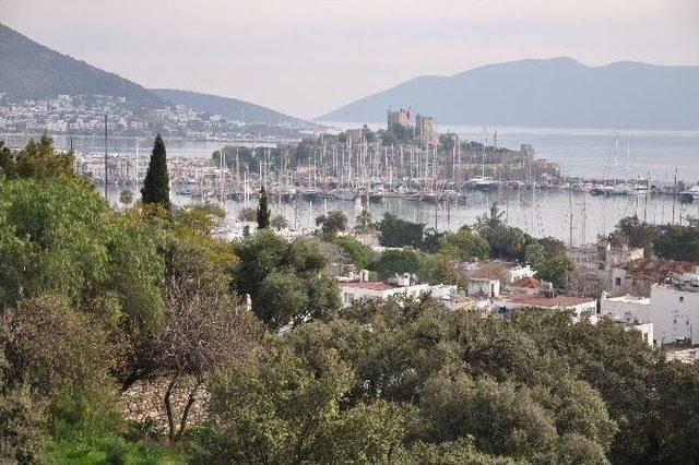 Bodrum 24 Saat Canlı İzlenecek