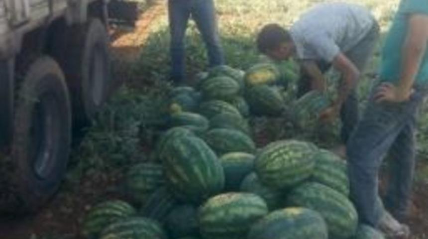 Şanlıurfa&rsquo;da Karpuz Zamlandı