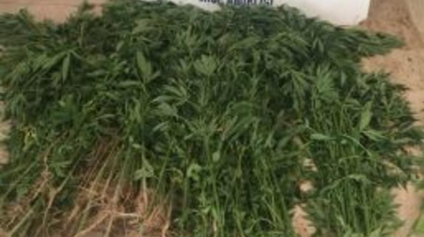 Kuşadası&rsquo;da Uyusturucu Operasyonu