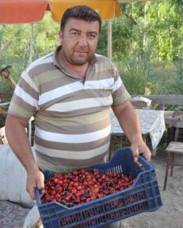 Yol Kenarı Satıcılarından Taze Ürün