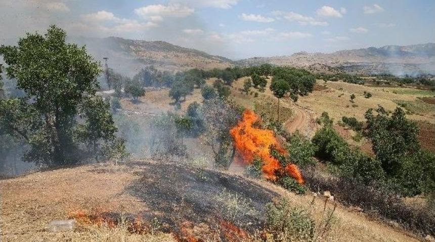 Lice’de Şehit Askerlerin Katilleri Yakalandı