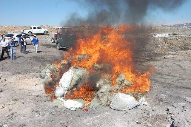 Adıyaman’da, 6 Bin 900 Metre Misina Ağı İmha Edildi