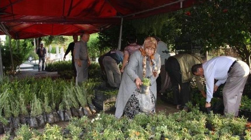 Alanya Belediyesi Mezarlıklarda &Uuml;cretsiz &Ccedil;i&ccedil;ek Dağıtacak