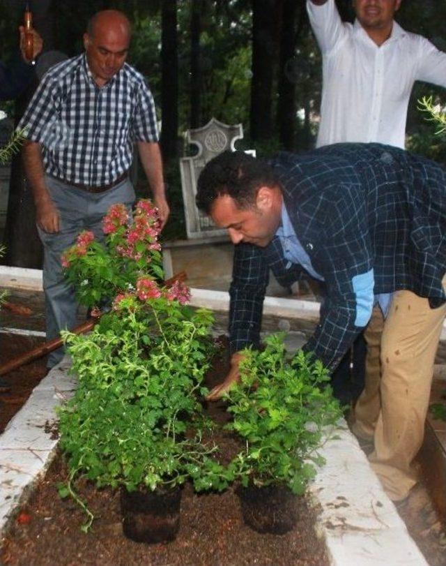 Alanya Belediyesi Mezarlıklarda Ücretsiz Çiçek Dağıtacak