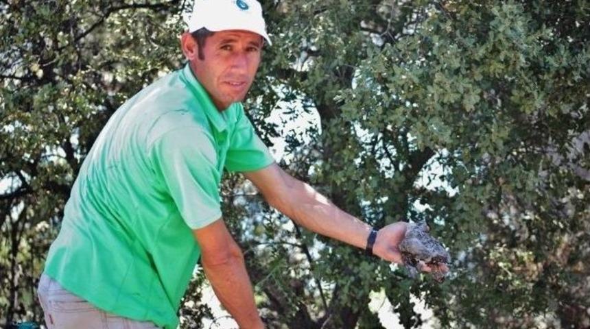 Elektrik Teline Çarpan Kuş Yangına Neden Oldu