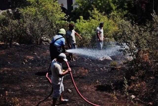 Elektrik Teline Çarpan Kuş Yangına Neden Oldu